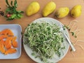 Sunflower sprouts, papaya slices on plate Royalty Free Stock Photo