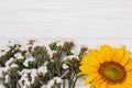 Sunflower and statice limonium flowers.