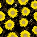 Sunflower summer background seamless pattern. Royalty Free Stock Photo