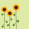 vector sunflower summer background Royalty Free Stock Photo