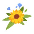 Sunflower, summer flower. Symbol of Ukraine. Vector illustration