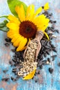 Sunflower and sunflower seed . Royalty Free Stock Photo