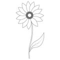 Sunflower. Sunny flower. Sketch. Vector illustration. Outline on an isolated white background. Doodle style. Coloring book.