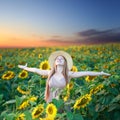 Sunflower sunrise Royalty Free Stock Photo