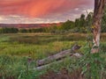 Sunflower Swamp and Crimson Virga