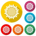 Sunflower symbol icon, color icon with long shadow