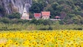 Sunflower temple Royalty Free Stock Photo