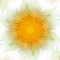 Sunflower Texture Fading Gold