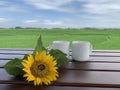 Sunflower and two white blank cups of tea or coffee, on the wooden table with the bright blue spring or summer sky over the field. Royalty Free Stock Photo