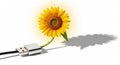 Sunflower USB: Powering Sustainable Technology for a Greener Future with Renewable Energy Solutions. Royalty Free Stock Photo