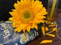 Sunflower on VanGogh Book Royalty Free Stock Photo