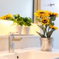 Sunflower vase decorated in bathroom Royalty Free Stock Photo