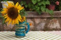 Sunflower in Vase on Table Royalty Free Stock Photo