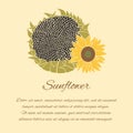 Sunflower vector greeting card on the bright