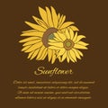Sunflower vector greeting card on the dark