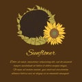 Sunflower vector greeting card on the dark