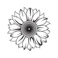 Sunflower vector illustration in black color Royalty Free Stock Photo