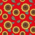 Sunflower vector seamless pattern with green leaves, imitating ink and watercolor on red background. Hand-drawn flower heads. Royalty Free Stock Photo