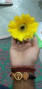 Sunflower very beautiful nice nice hand