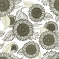 Sunflower vintage seamless pattern. Sunflower retro background. Vector hand drawn illustration.