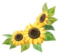 Sunflower wedding inwitation clipart. Watercolor sunflower bouquet isolated on white.