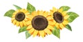 Sunflower wedding inwitation clipart. Watercolor yellow sunflower bouquet isolated on white. Royalty Free Stock Photo
