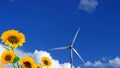 Sunflower and wind-turbine