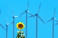 Sunflower and wind turbines