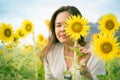 Sunflower and a woman hiding behind it Royalty Free Stock Photo