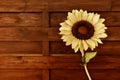 Sunflower wooden background Royalty Free Stock Photo