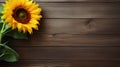 Sunflower on wooden background. Top view with copy space for your text Royalty Free Stock Photo