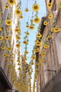 Sunflower yellow flower hanging on the street