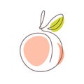 Peach line art. One continuous line drawing style fruit. Vector illustration