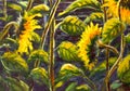 Sunflowers Acrylic, Oil painting Original handpainted art of sunflower flowers, beautiful gold sunflowers in sun flowers on canvas