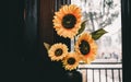 Sunflowers in ancient Chinese house