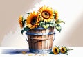Sunflowers in an antique wooden bucket Royalty Free Stock Photo