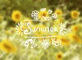 Sunflowers Background on a Summer Day