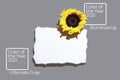 Sunflowers and blank sheet of paper. With a tight shadow on a light background