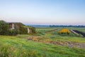 Sunflowers bloom on an early morning farm field in Pine Island NY Royalty Free Stock Photo