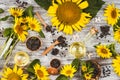 Sunflowers, bottle with oil and sunflowers seed