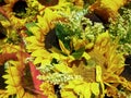 Sunflowers bouquet closeup Royalty Free Stock Photo