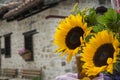 Sunflowers bouquets on the background of old house Royalty Free Stock Photo