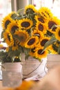 Sunflowers in a bucket at pikes Market Seattle Royalty Free Stock Photo