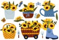 Sunflowers collection and of wildflowers. Bouquet bright yellow sunflowers in bucket, watering can, boots and garden