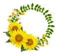 Sunflowers, daisies and acacia flowers and green leaves in a round frame