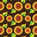 Sunflowers on a dark brown background. Seamless pattern. Royalty Free Stock Photo