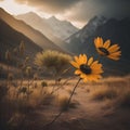 Sunflowers in the desert at sunset, generative ai