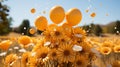 Sunflowers in a field with balloons, yellow color for a greeting card. Festive postcard image.