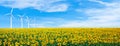 Sunflowers field on sky. Summer landscape wallpaper. Beautiful nature wallpaper background.  Wind turbine in hill. Ecology  concep Royalty Free Stock Photo