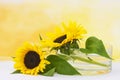 Sunflowers in glass vase Royalty Free Stock Photo